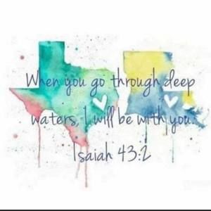 Meet your Posher, Suzanne